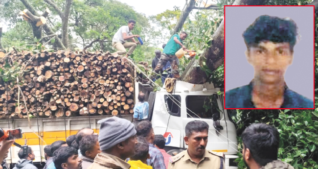 ലോ​റി​ക്കു മു​ക​ളി​ലേ​ക്ക്   മ​രം വീ​ണ്  യു​വാ​വ് മ​രി​ച്ചു