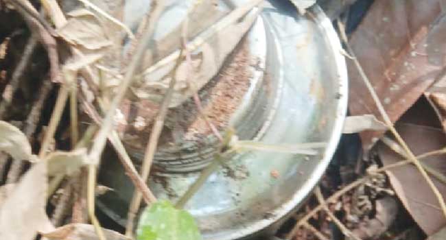 പാ​നൂ​രി​ൽ  സ്റ്റീ​ൽ ബോം​ബു​ക​ൾ ക​ണ്ടെ​ത്തി