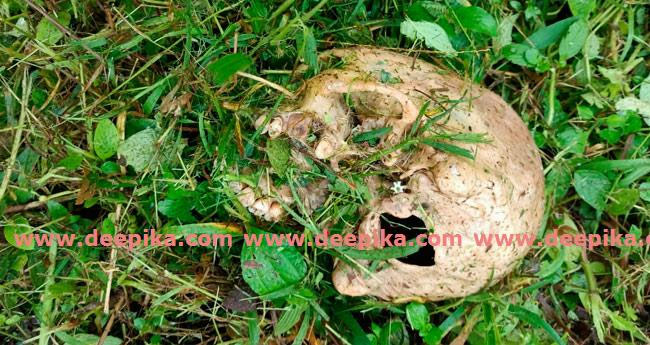 അ​ദാ​നിയുടെ ഭൂ​മി​യി​ൽ ത​ല​യോ​ട്ടി