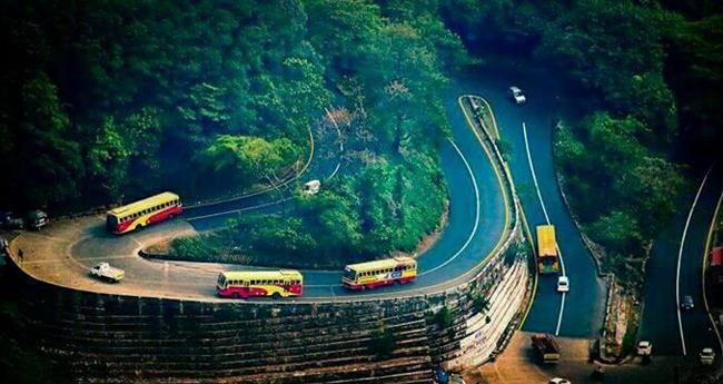 താ​മ​ര​ശേ​രി ചു​ര​ത്തി​ൽ മ​രം​വീ​ണ് ഗ​താ​ഗ​തം ത​ട​സ​പ്പെ​ട്ടു