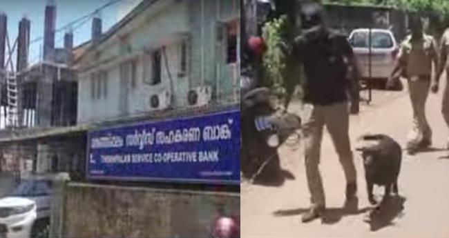 ജീ​വ​ന​ക്കാ​രു​ടെ വി​നോ​ദ​യാ​ത്ര തു​ണ​ച്ചു; സ​ഹ​ക​ര​ണ ബാ​ങ്കി​ലെ മോ​ഷ​ണ​ശ്ര​മം പൊ​ളി​ഞ്ഞു