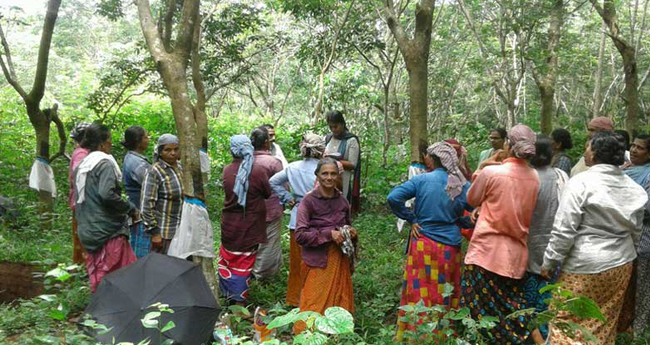 തൊ​​ഴി​​ലു​​റ​​പ്പ് പ​​ദ്ധ​​തി​​യി​​ൽ മൂന്നുലക്ഷം പേർക്കുകൂടി തൊഴിൽ; ക്ഷേമനിധി ഫെബ്രുവരിയിൽ