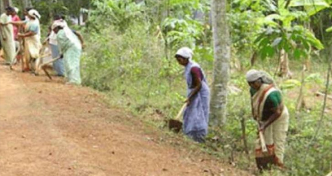 തൊ​ഴി​ലു​റ​പ്പി​ല്‍ ഇ​നി പു​ല്ലു​ചെ​ത്തും കാടുവെട്ടുമില്ല