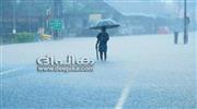 തീ​വ്രമ​ഴ തു​ട​രും; നാ​ല് ജി​ല്ല​ക​ളി​ൽ ഓ​റ​ഞ്ച് അ​ല​ർ​ട്ട്