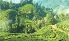 പുതിയ നിർമാണങ്ങൾക്ക്  ഇനിയും കടന്പ