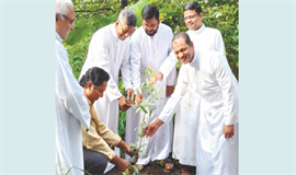 പി​ഒ​സി​യി​ല്‍ പ​രി​സ്ഥി​തിദി​നം  ആ​ച​രി​ച്ചു