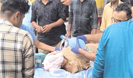 കാ​ട്ടു​പോ​ത്തി​ന്‍റെ  ആ​ക്ര​മ​ണ​ത്തി​ൽ  വീ​ട്ട​മ്മ​യ്ക്കു പ​രി​ക്ക്