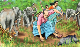 വ​ന്യ​ജീ​വി ആ​ക്ര​മ​ണം: സം​സ്ഥാ​നം നി​യ​മ​നി​ർ​മാ​ണത്തിന്