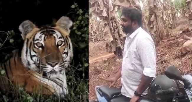 ക​രു​വാ​ര​ക്കു​ണ്ടി​ൽ ക​ടു​വ ഇ​റ​ങ്ങി​യെ​ന്ന വ്യാ​ജ സ​ന്ദേ​ശം; യു​വാ​വ് അ​റ​സ്റ്റി​ൽ