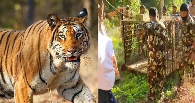 ക​ടു​വാ ആ​ക്ര​മ​ണ​ത്തി​ൽ വീ​ട്ട​മ്മ മ​രി​ച്ച സം​ഭ​വം; അ​ടി​യ​ന്ത​ര യോ​ഗം ഇ​ന്ന്