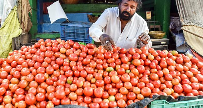 ത​ക്കാ​ളി​യു​ടെ ശ​രാ​ശ​രി വി​ല ഉ​യ​ർ​ന്നി​ട്ടി​ല്ലെ​ന്ന് കേ​ന്ദ്ര​മ​ന്ത്രി