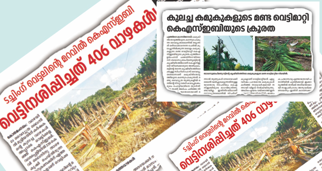 കമുകും വാഴയും വെട്ടിനിരത്തിയവർ തേവലക്കര വഴി പോയില്ലേ?