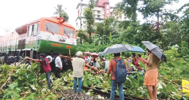 തിരുവല്ലയിൽ ട്രെയിനിനു മുന്പിലേക്ക് മരം വീണു