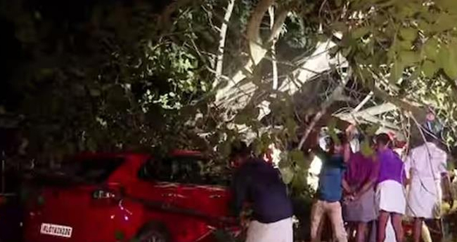 കാ​റി​നു മു​ക​ളി​ലേ​ക്ക്  മ​രം ​വീ​ണ് യു​വ​തി മ​രി​ച്ചു