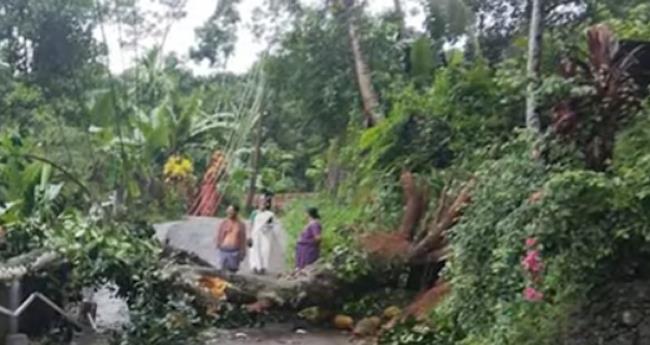 ക​ന​ത്ത മ​ഴ; തി​രു​വ​ന​ന്ത​പു​ര​ത്ത് നി​ര​വ​ധി വീ​ടു​ക​ള്‍ ത​ക​ര്‍​ന്നു