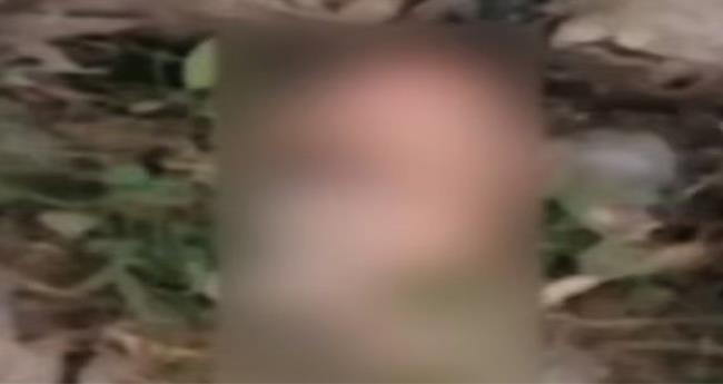 യു​പി​യി​ൽ മ​ര​ണ​പ്പെ​ട്ട ന​വ​ജാ​ത ശി​ശു​വി​ന്‍റെ ത​ല തെ​രു​വ് നാ​യ്ക്ക​ൾ ക​ടി​ച്ചെ​ടു​ത്തു