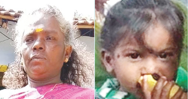 വാ​ൽ​പ്പാ​റ​യി​ൽ കാ​ട്ടാ​ന ആ​ക്ര​മ​ണം;  മു​ത്ത​ശി​യും കു​ഞ്ഞും മ​രി​ച്ചു