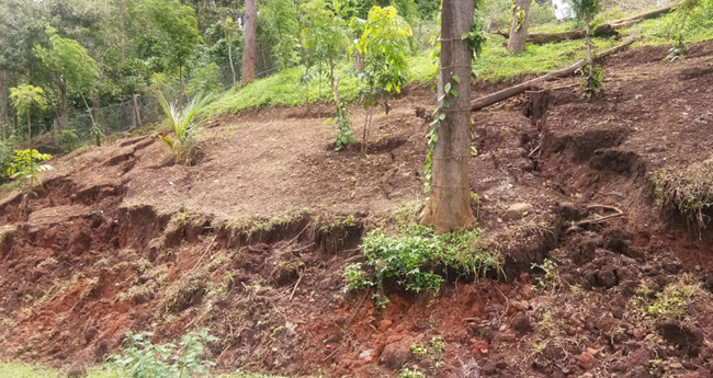 വണ്ടിപ്പെരിയാറിൽ ഭൂമി വിണ്ടുകീറുന്നു