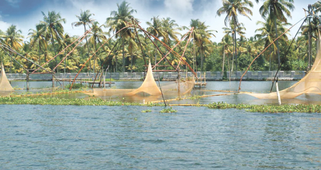വേന്പനാട്ടു കായലിനെ സംരക്ഷിക്കാൻ പദ്ധതി വേണം; പാർലമെന്‍റിൽ ആവശ്യപ്പെട്ട് ഫ്രാൻസിസ് ജോർജ്