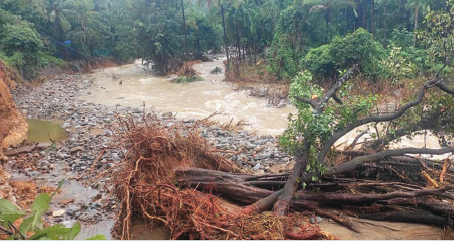 വി​റ​ങ്ങ​ലി​ച്ച് വി​ല​ങ്ങാ​ട്; ഭീ​തി​യി​ല്‍ ജ​ന​ങ്ങ​ള്‍