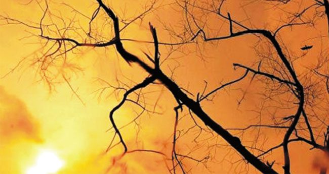 ഭൂഗര്‍ഭജലം താഴുന്നു;  വെള്ളംകുടി മുട്ടുമെന്ന് മുന്നറിയിപ്പ്