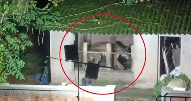 കേ​ണി​ച്ചി​റ​യി​ല്‍ പി​ടി​യി​ലാ​യ ക​ടു​വ​യ്ക്ക് ആ​രോ​ഗ്യ​പ്ര​ശ്നം; മൃ​ഗ​ശാ​ല​യി​ലേ​ക്ക് മാ​റ്റി​യേ​ക്കും