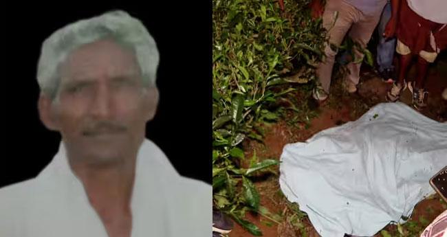 വ​യ​നാ​ട്ടി​ൽ കാ​ട്ടാ​ന​യാ​ക്ര​മ​ണ​ത്തി​ൽ മ​രി​ച്ച അ​റു​മു​ഖ​ന്‍റെ പോ​സ്റ്റ്മോ​ർ​ട്ടം വൈ​കും