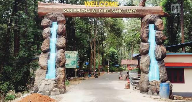 മ​ഴ​ക്കാ​ടു​കാ​ണാം, വ​രൂ!