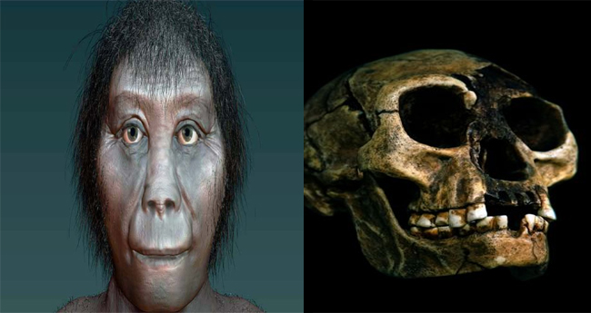 The Homo floresiensis species believed to be long extinct is still alive today