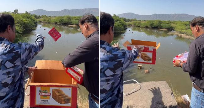 FSSAI Officials Caught Dumping Over 2000 Kg of Adulterated Milk Cake and Plastic Containers Directly into Ajmer River Sparking Outrage Over Pollution
