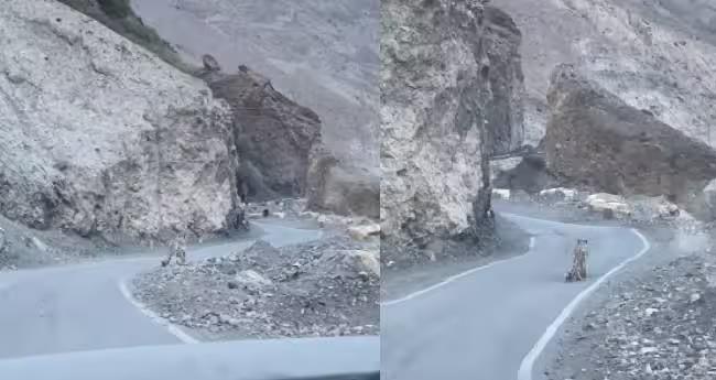 a group of travellers meet a snow leopard