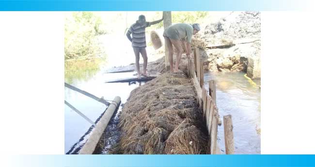 അതിജീവനത്തിനൊരുങ്ങി കുട്ടനാട്; വരവായി വീണ്ടുമൊരു പുഞ്ചകൃഷിക്കാലം