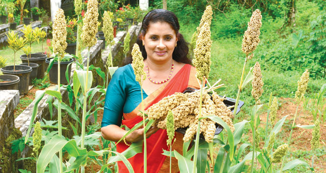 ചെ​റു​ധാ​ന്യ​ങ്ങ​ളി​ൽ ആ​ൻ​സി​യു​ടെ വ​ലി​യ രു​ചി​മേ​ളം