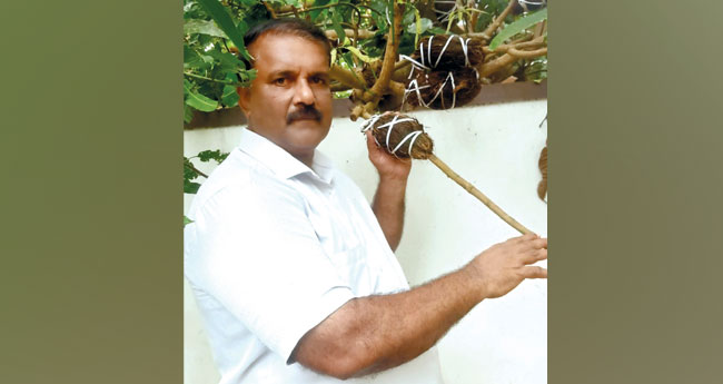 എ​യ​ർ​ലെ​യ​റിം​ഗ് വ​ഴി അ​നി​ൽ കു​മാ​റി​നു വ​രു​മാ​നം ല​ക്ഷ​ങ്ങ​ൾ