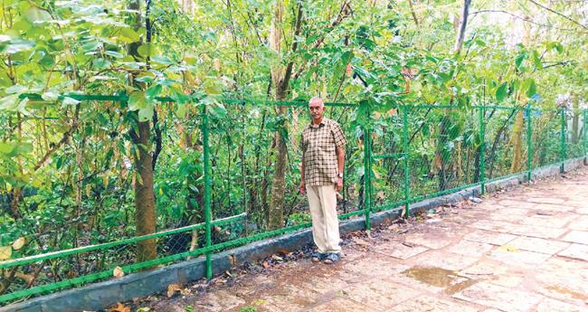 200 മി​യാ​വാ​ക്കി വ​ന​ങ്ങ​ളൊ​രു​ക്കി ചെ​റി​യാ​ന്‍ മാ​ത്യു