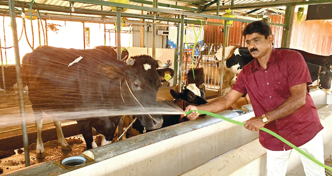 ത​ങ്ക​ച്ച​ൻ നി​ർ​മി​ച്ച​ത് 200 ഫാ​മു​ക​ൾ