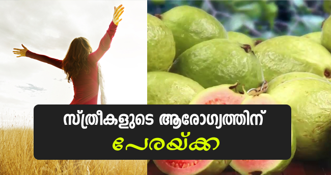 സ്ത്രീകളുടെ ആരോഗ്യത്തിന് പേരയ്ക്ക