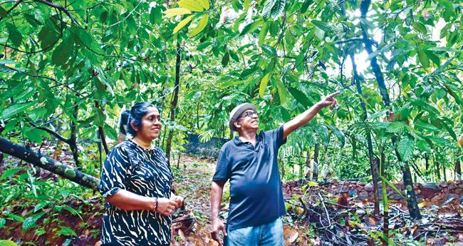 ലണ്ടൻ രാജുവിന്‍റെ മിന്നും താരം ദുരിയൻ
