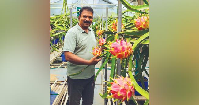 ജോ​ബ​ൻ​വി​ല്ല​യി​ലെ അ​മേ​രി​ക്ക​ൻ ബ്യൂ​ട്ടി