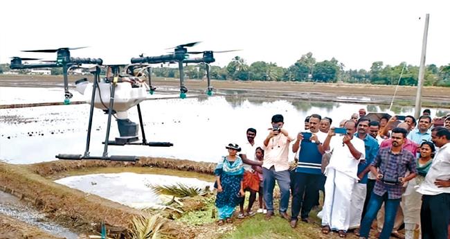 നെ​ൽ​വി​ത്ത് വി​ത​യ്ക്കാ​ൻ ഇ​നി ഡ്രോ​ണും
