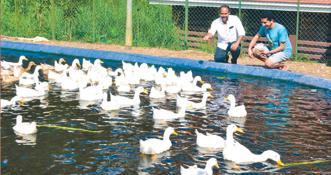 കാ​ണാം... വ​ട​വാ​തൂ​ർ സെ​മി​നാ​രി​യി​ലെ ഏ​ദ​ൻ തോ​ട്ടം