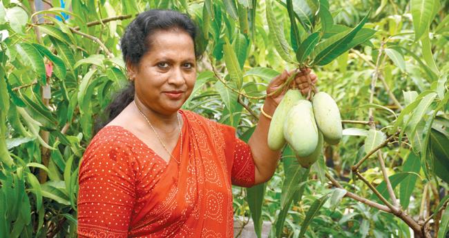 ഈ ​ഏ​ദ​ൻ തോ​ട്ട​ത്തി​ൽ മാ​വു​ക​ൾ​ക്ക് ഉ​ഷാ​കാ​ലം