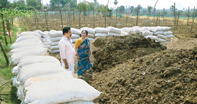 പ​ച്ച​ക്ക​റി​ക​ളു​ടെ ഹ​രി​ത​ഭൂ​മി​ക എ​ല​വ​ഞ്ചേ​രി