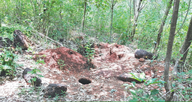 ഒരു നിധിക്കഥയും കു​റെ പ്ര​ശ്ന​ങ്ങ​ളും