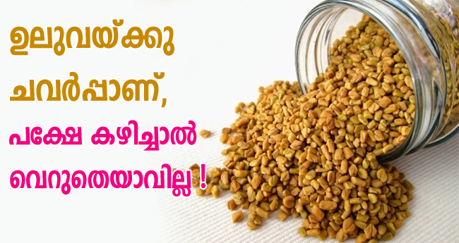 ഹൃദയാരോഗ്യത്തിനും വിളർച്ച തടയാനും ഉലുവ