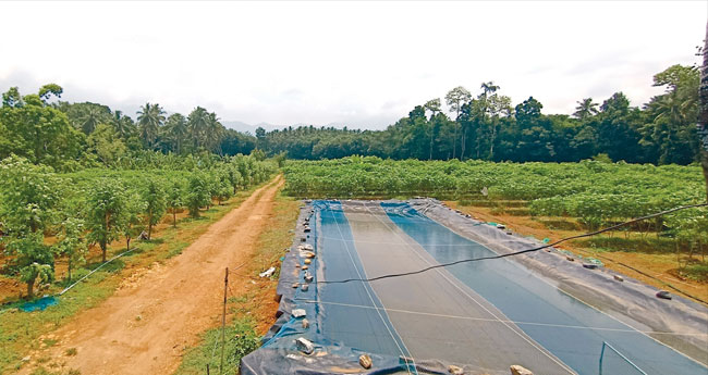 നൂ​ത​ന കാ​ർ​ഷി​ക വി​ക​സ​ന പ​ദ്ധ​തി​ക​ളു​മാ​യി ഇ​ൻ​ഫാം അ​ഗ്രി​ഫാം