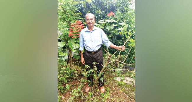 അ​പൂ​ർ​വ തോ​ട്ടം ഒ​രു​ക്കി എ.​ടി. തോ​മ​സ്