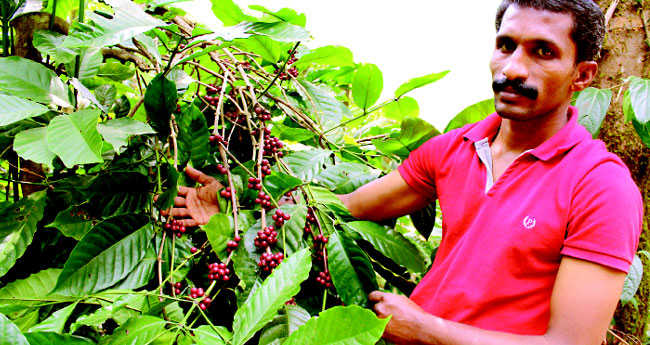 മ​ന​സി​ലും ശ​രീ​ര​ത്തി​ലും കൃ​ഷി അ​ലിഞ്ഞു ചേർന്ന ഒരു കർഷനെ പരിചയപ്പെടാം