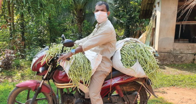 സംയോജിത ജൈവകൃഷിയിൽ നേട്ടവുമായി ചുണ്ടാട്ട് പോൾ