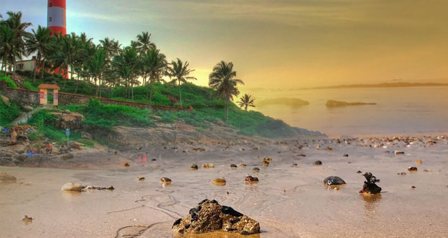 കോവളം ബീച്ചിലെ പുതിയ അതിഥികൾ